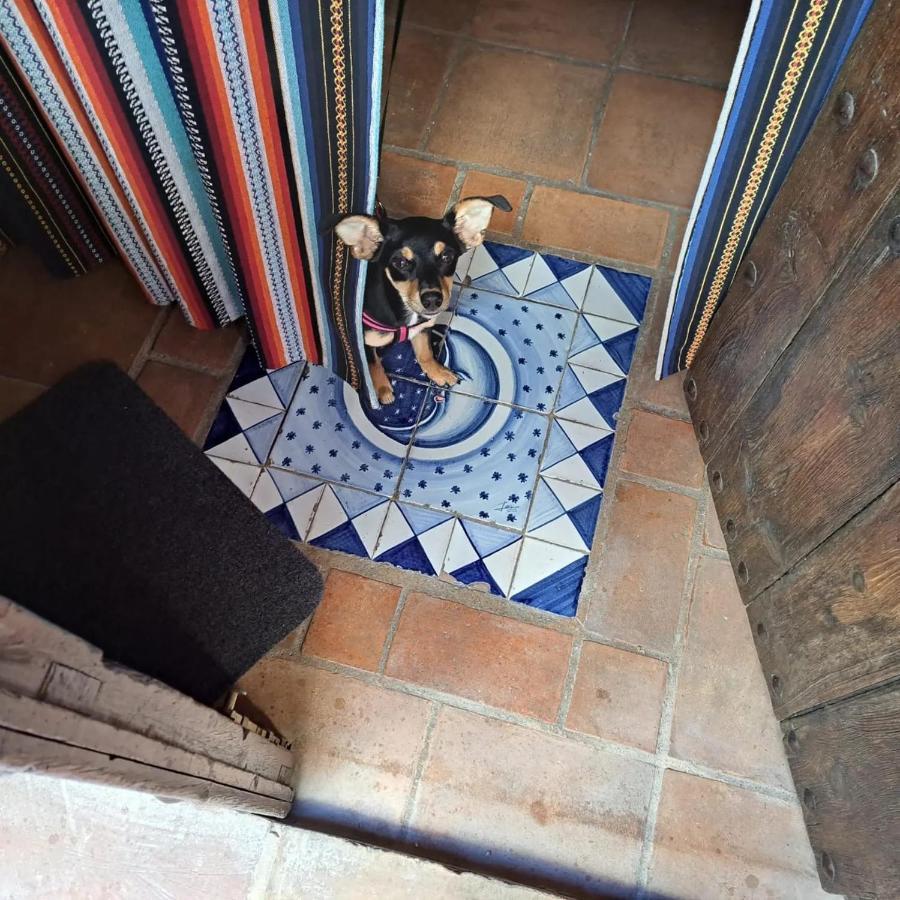 CAN LLUNA Tú casa zen Tárbena Kültér fotó