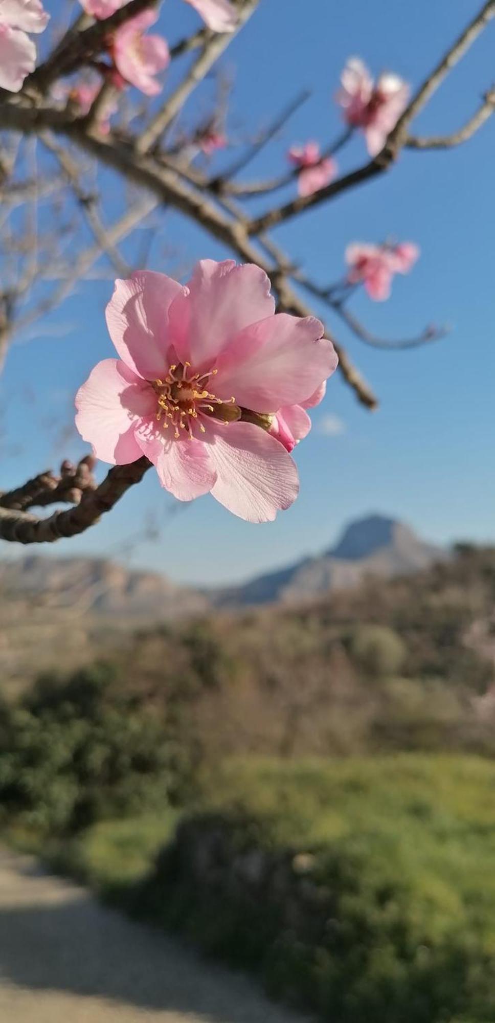 CAN LLUNA Tú casa zen Tárbena Kültér fotó